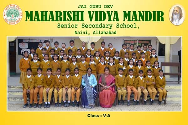 Student-Enrollment-MVM-Naini-5-A