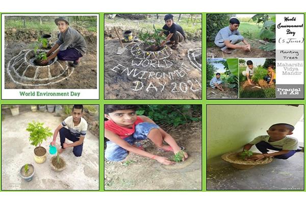 Celebration on the occasion of World Environment Day.